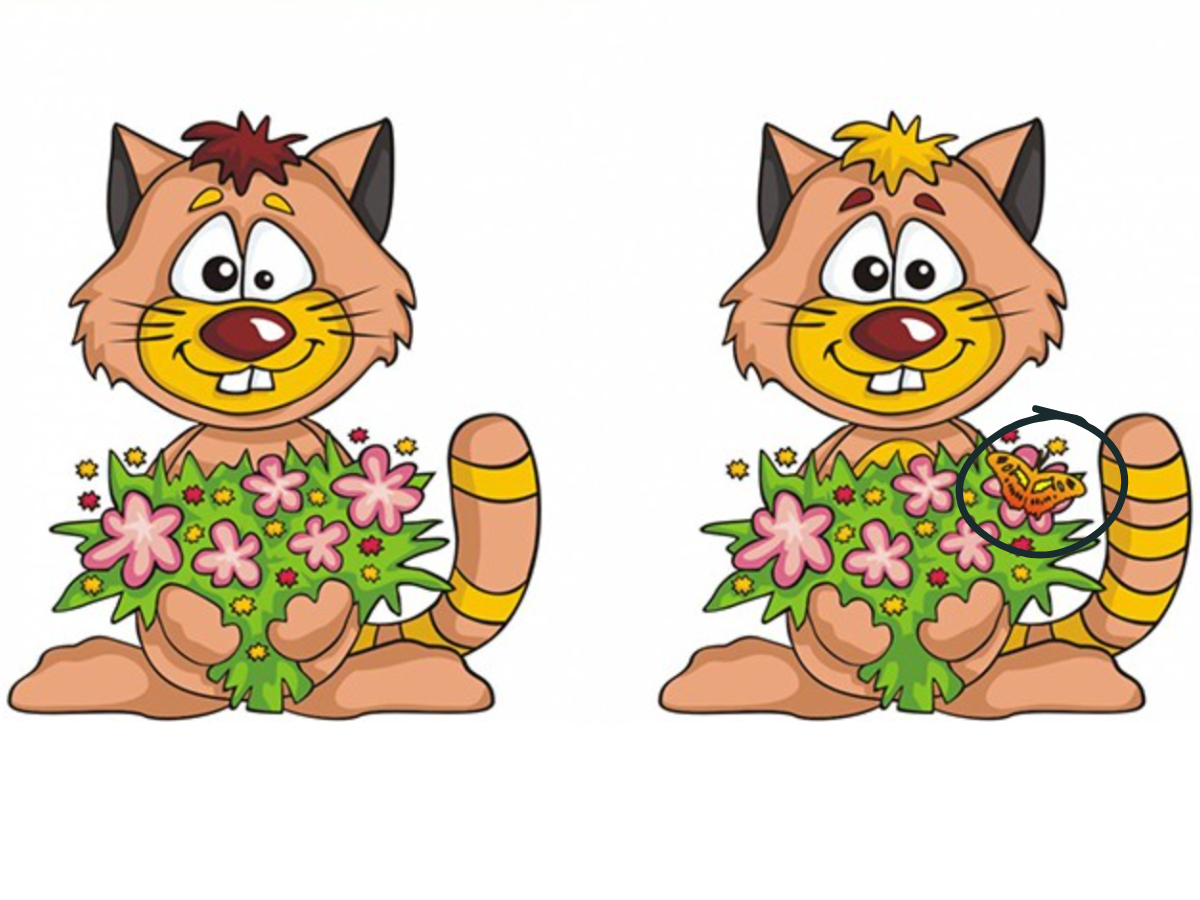Spot the Difference